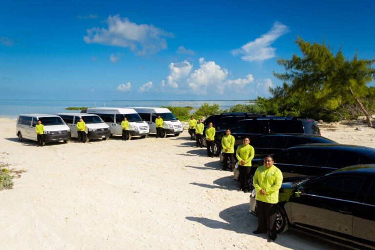 a car parked on a beach